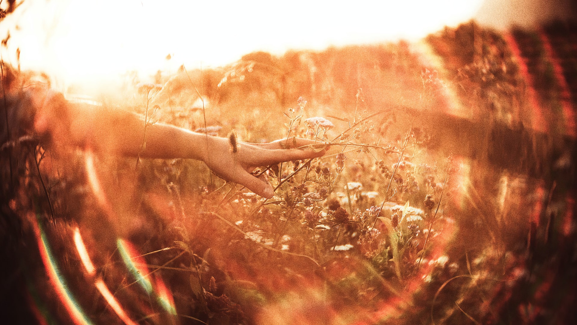 What Does It Take to Heal?